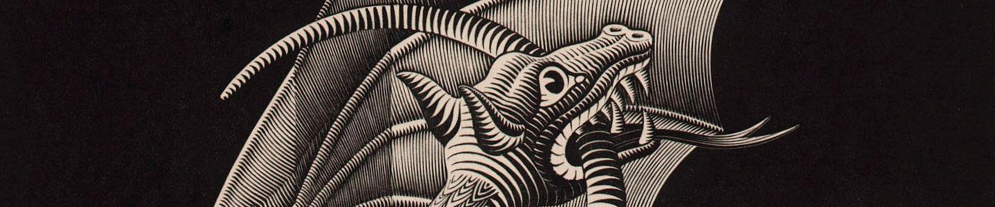 The illusion of a Dragon