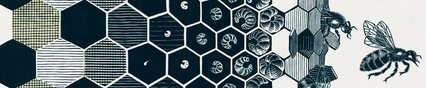 Metamorphose I, II, III