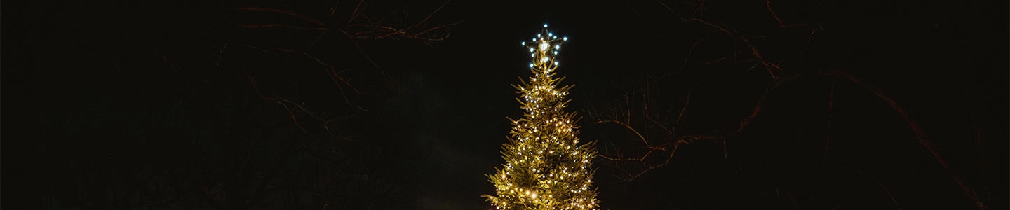Kerstboomceremonie