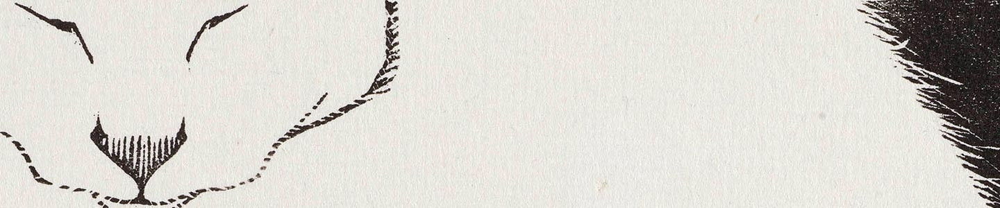 New acquisition: Escher's White Cat