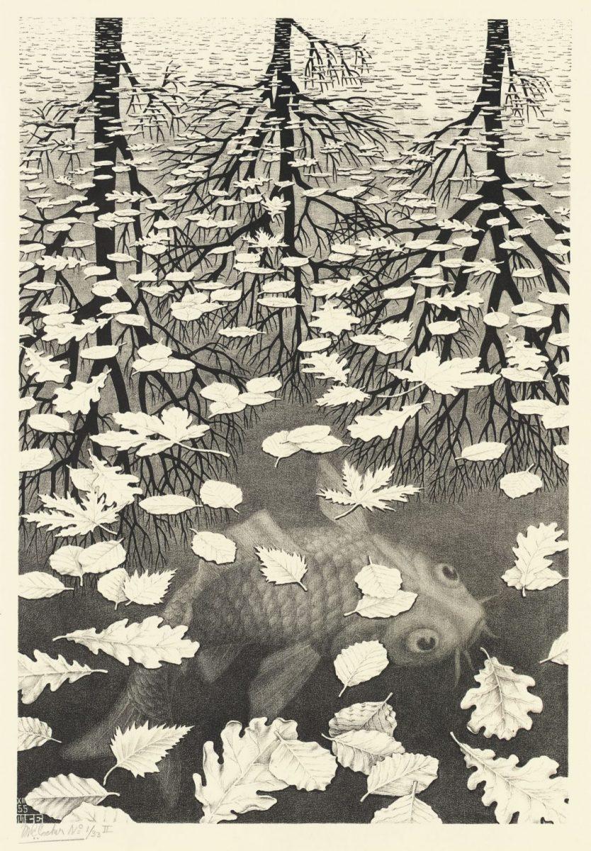 M.C. Escher, Three worlds, lithograph, December 1955