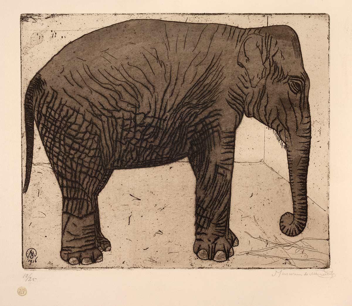Samuel Jessurun de Mesquita, Olifant, ets, 1916. Collectie Kunstmuseum Den Haag