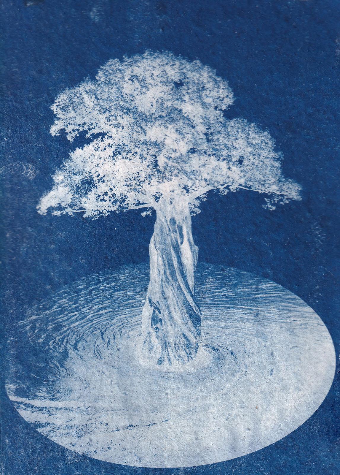 Tina Iris Chulo, Entanglement, cyanotype, 2024