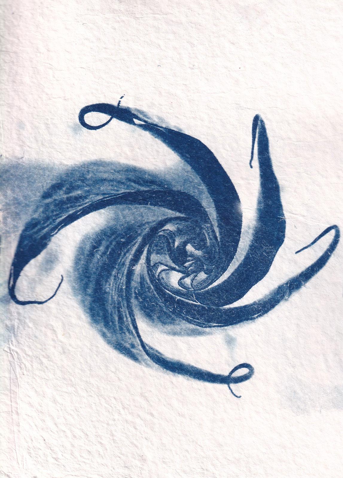 Tina Iris Chulo, Flying Spell, cyanotype, 2024