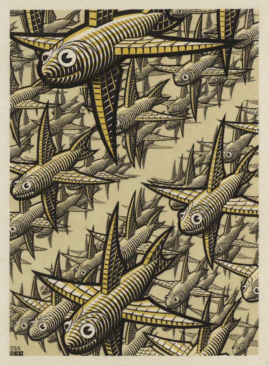 M.C. Escher, Diepte. houtgravure en houtsnede in bruinrood, grijsgroen en donkerbruin, gedrukt van drie blokken, oktober 1955