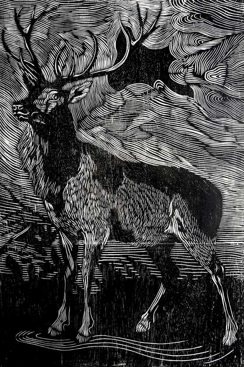 Jos de l'Orme, Red deer, woodcut, 2005