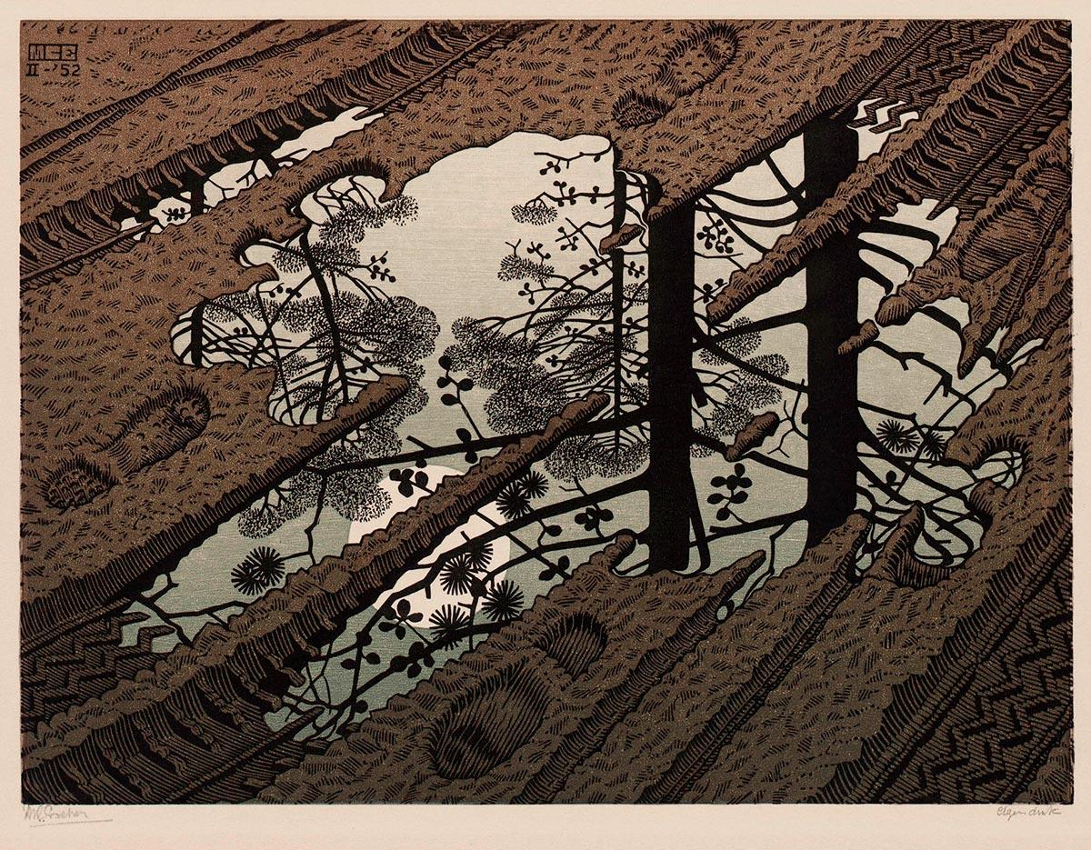 M.C. Escher, Puddle, woodcut in black, green and brown, printed from three blocks, February 1952