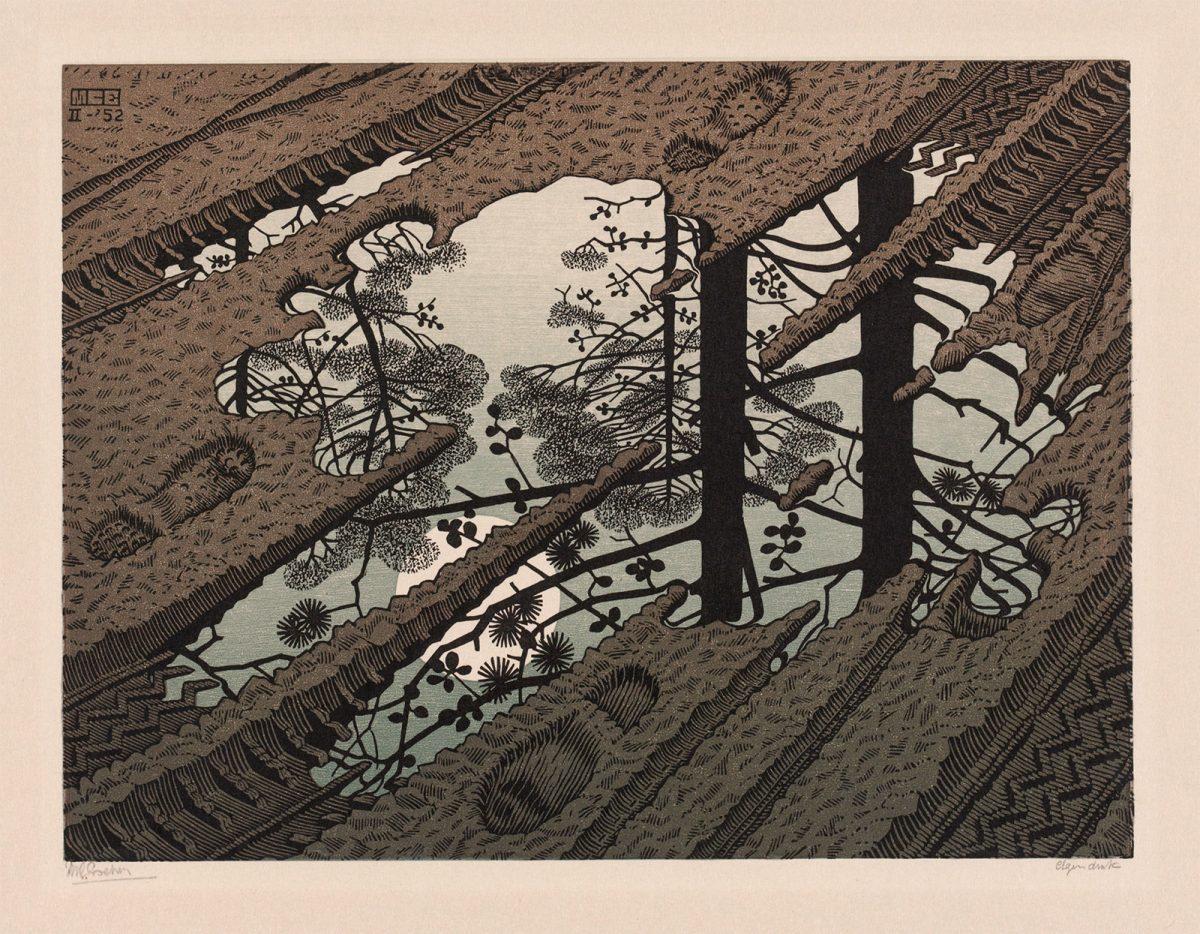 M.C. Escher, Puddle, woodcut in black, green and brown, printed from three blocks, February 1952