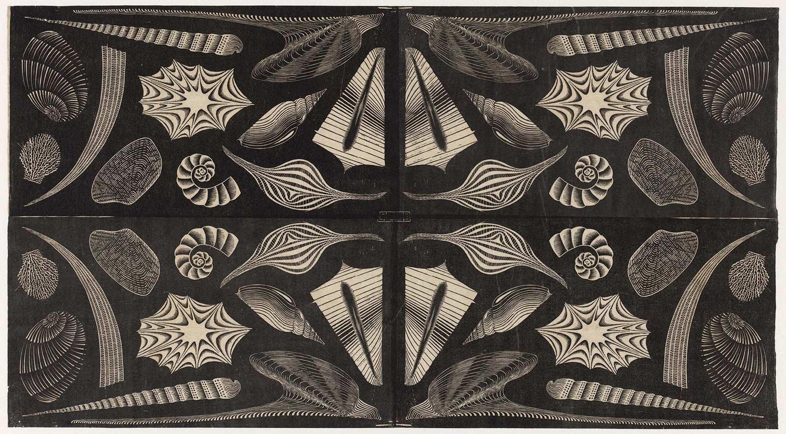 M.C. Escher, Schelpen, houtsnede, 1920 of 1921