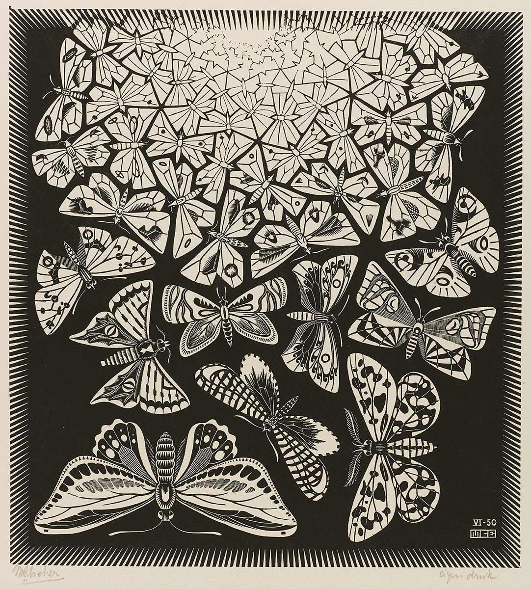 M.C. Escher, Butterflies, wood engraving, June 1950