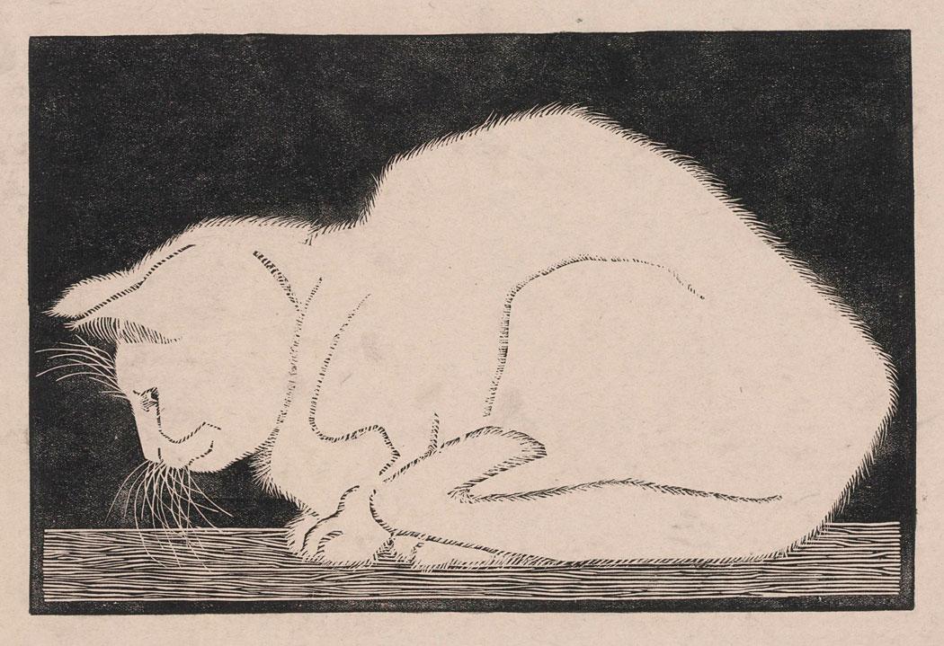 M.C. Escher, Witte poes, houtsnede, 1919