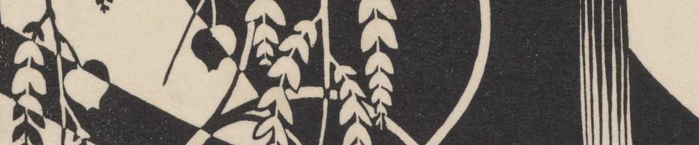 Zondeval, detail