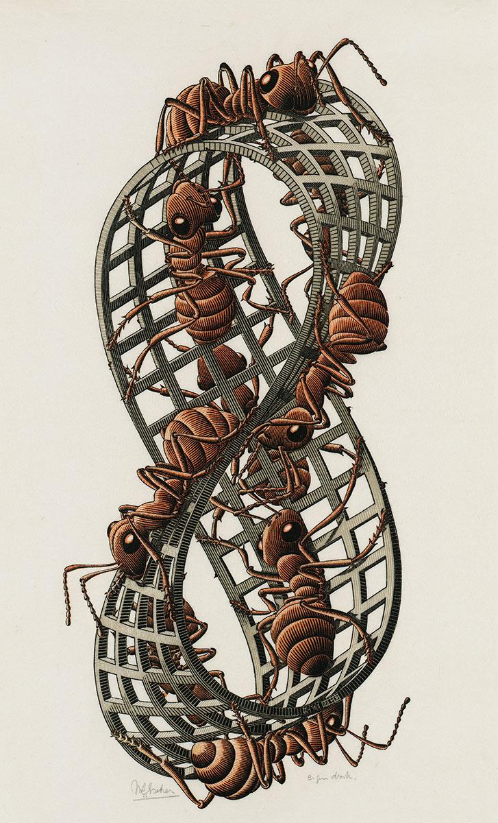 Möbius Strip II