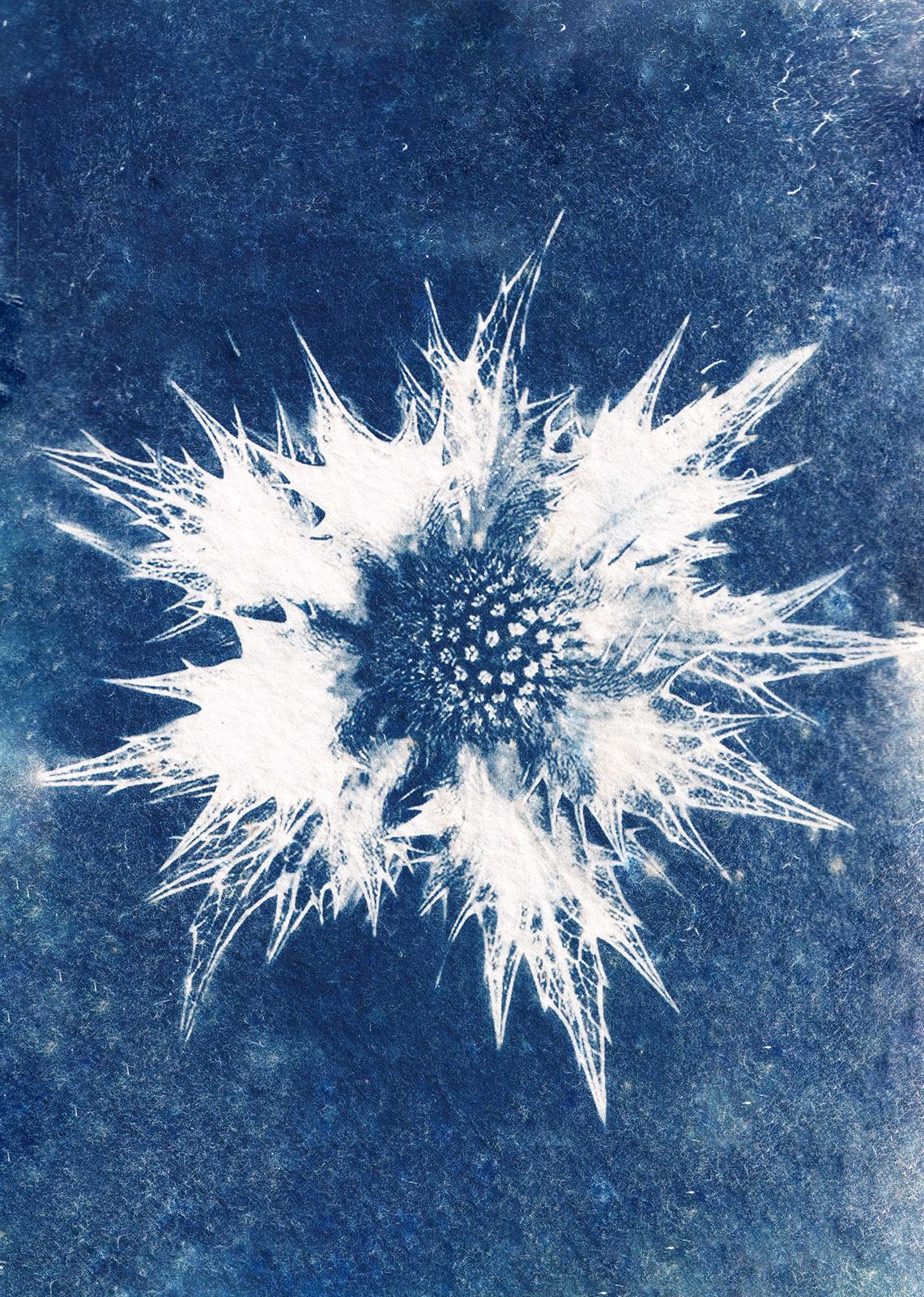 Feel Free to Talk to Plants