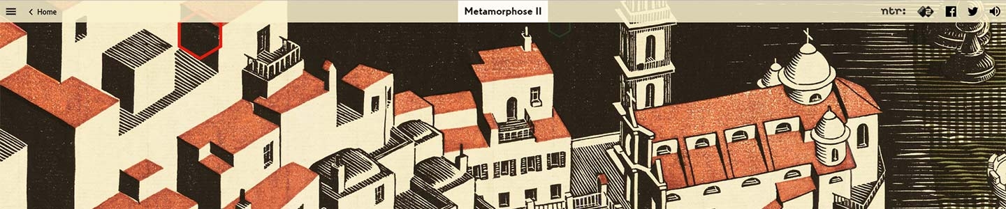 Interactive Metamorphosis by Escher