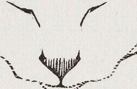 Een bijzonder huisdier: Witte poes