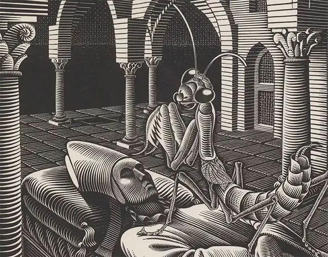 Droom (Mantis Religiosa)