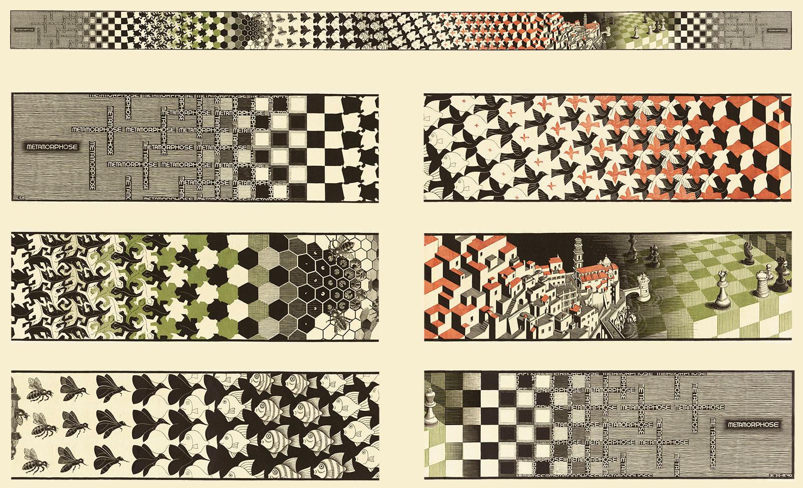 Metamorphose II