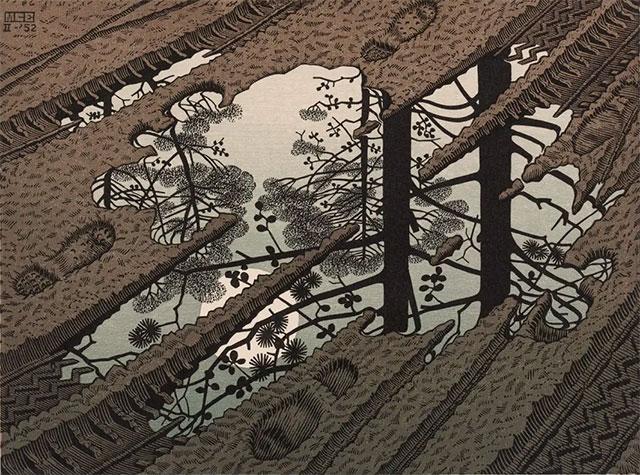 Oneindigheid in een modderplas