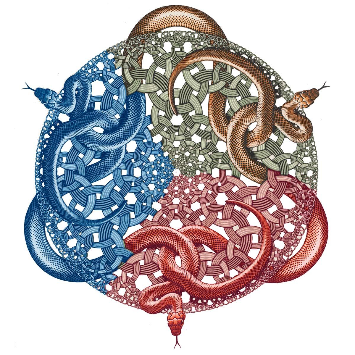 Block Python Snake Snakes | Museum Escher in The Palace